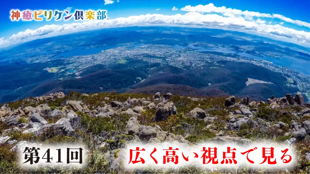 第41回 広く高い視点で見るの画像