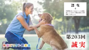 第203回 よくなるカード解説 No.4「誠実」の画像