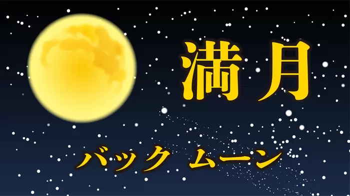 満月の画像
