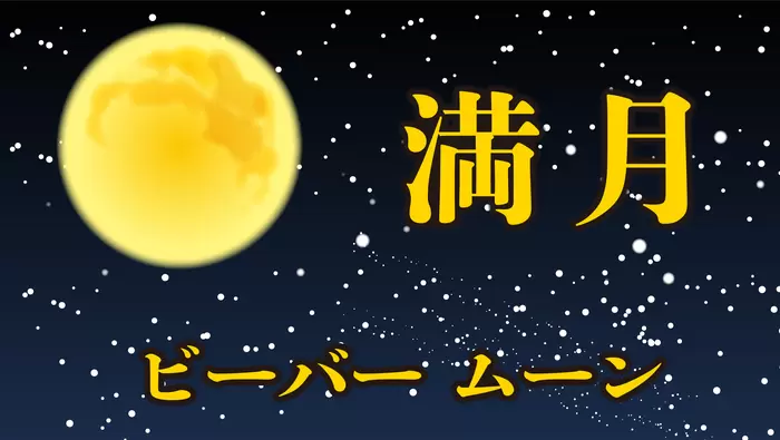 満月の画像
